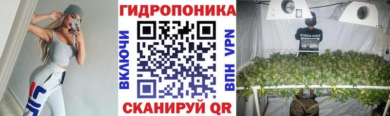 продажа наркотиков  Петушки  Конопля марихуана 